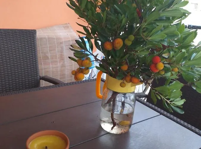 Marijanovic Apartman *