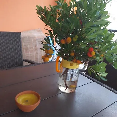 Marijanovic Apartamento *