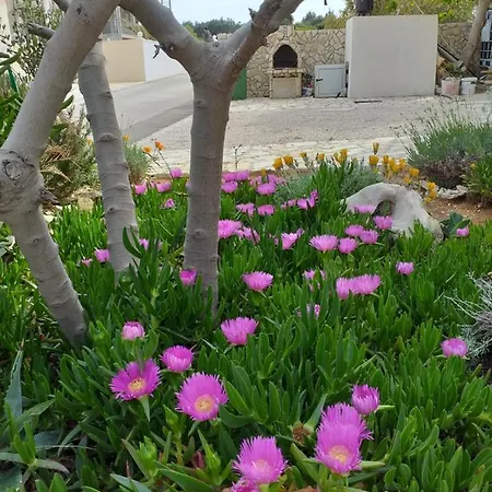 Apartament Marijanovic